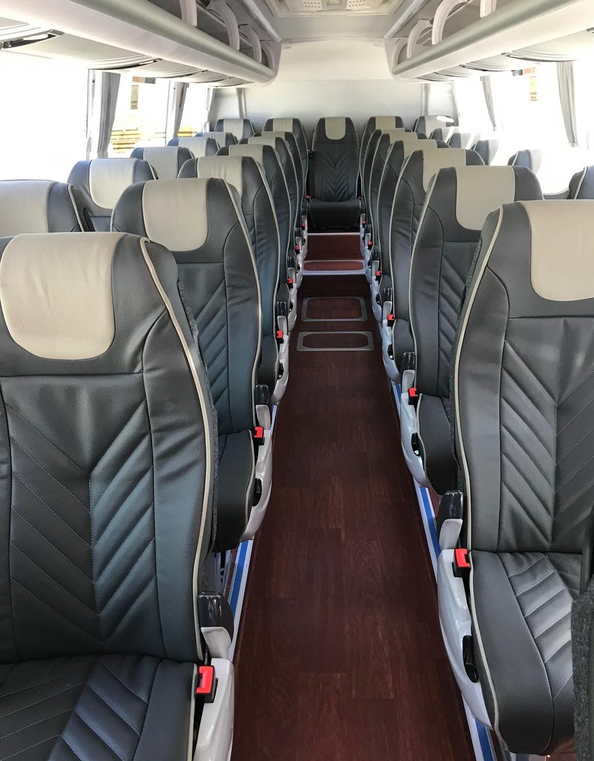 White King Long Coach Bus, 35 seater, Melbourne, photo 3
